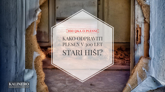 06 kako odpraviti plesen v 300 let stari hisi