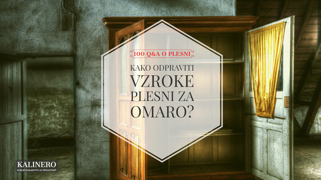 Kako odpraviti vzroke plesni za omaro