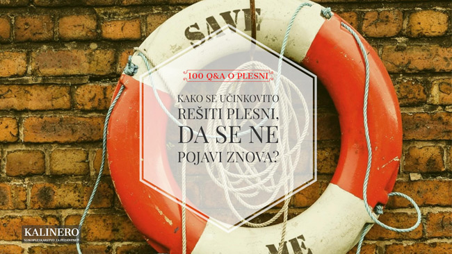 14 Kako se resiti plesni da se ne pojavi znova