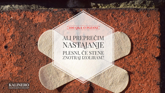 Ali preprecim nastajanje plesni ce stene znotraj izoliram