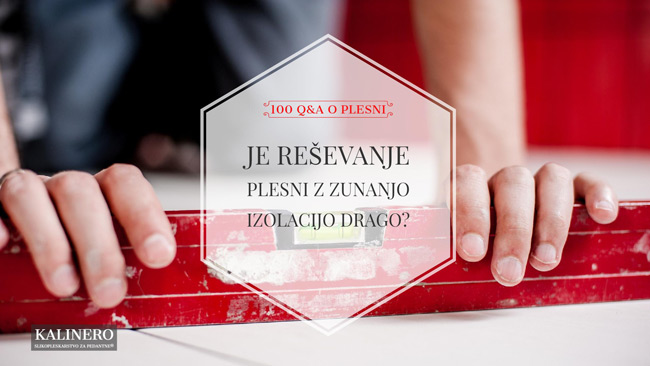 Je resevanje plesni z zunanjo izolacijo drago