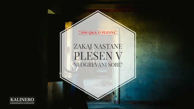 Zakaj nastane plesen v neogrevani sobi