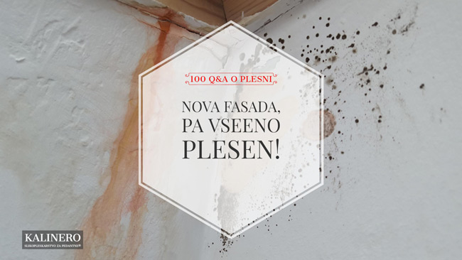 Nova fasada pa vseeno plesen