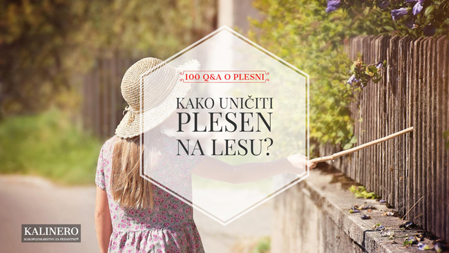 Kako uniciti plesen na lesu