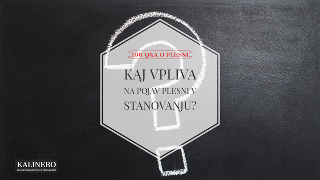 Kaj vpliva na pojav plesni v stanovanju