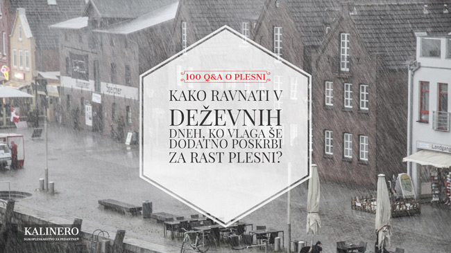 Kako ravnati v dezevnih dneh ko vlaga se dodatno poskrbi za rast plesni