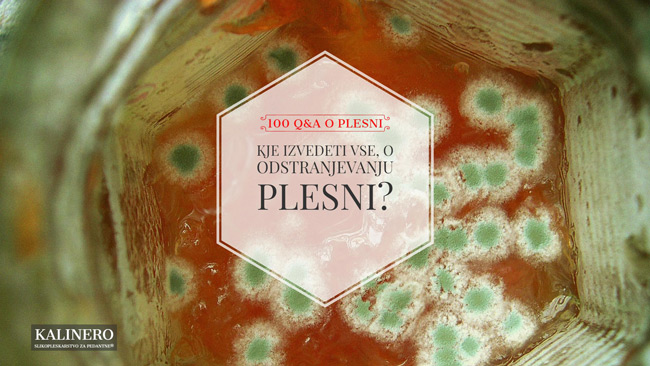 kje izvedeti vse o odstranjevanju plesni
