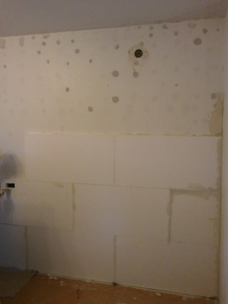 plesen kalcijev silikat