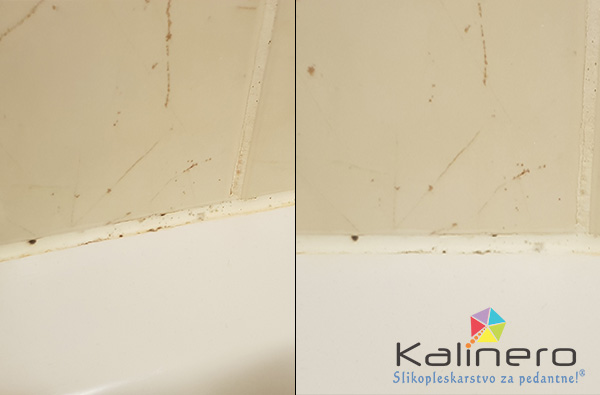 plesen na silikonu odstranjevanje