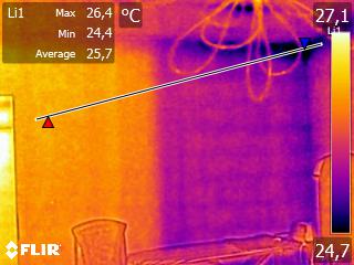 plesen zunanja stena