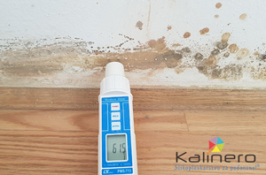 merjenje vlage v konstrukciji